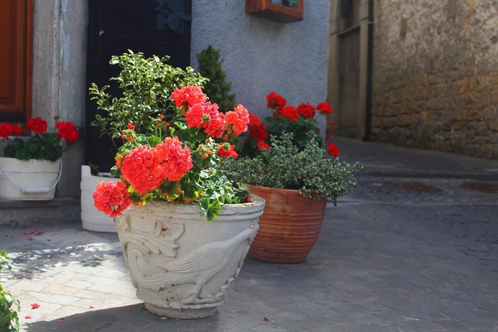 Bed and Breakfast Il Tomolo Agnone Esterno foto